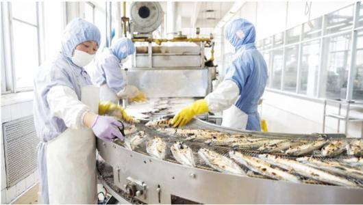 食品廠除塵系統的優化方案與日用雜品生產應用實踐